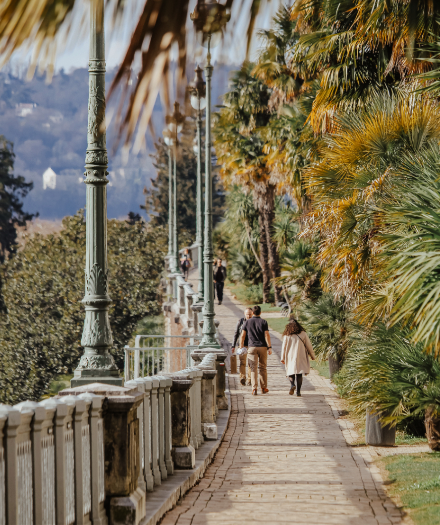 Pau promenade with Pyrénées view