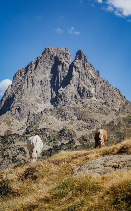 Pyrénées mountains